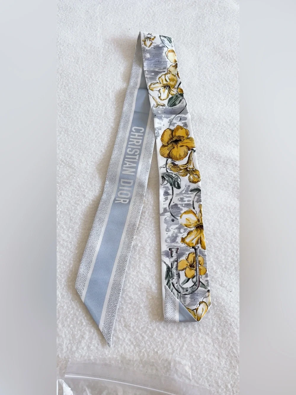 Dior Jardin D’hiver Mitzah Silk Scarf
